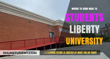 Mailing to Students at Liberty University: Addressing Tips