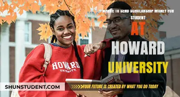 Scholarship Opportunities for Howard University Students: A Comprehensive Guide