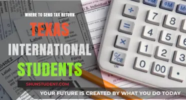 Texas Tax Returns: A Guide for International Students