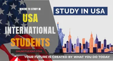 Best US Study Destinations for International Students