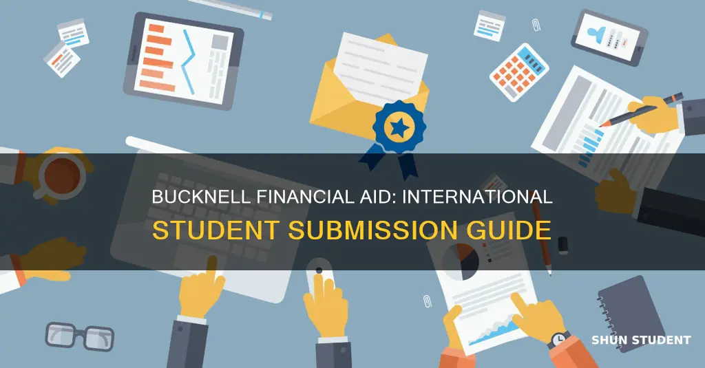 where to submit bucknell financial aid forms international students
