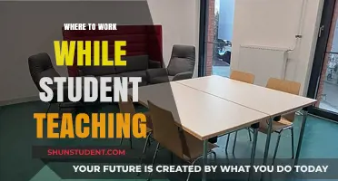 Top Student Teaching Workspaces: Balancing Learning and Earning Effectively