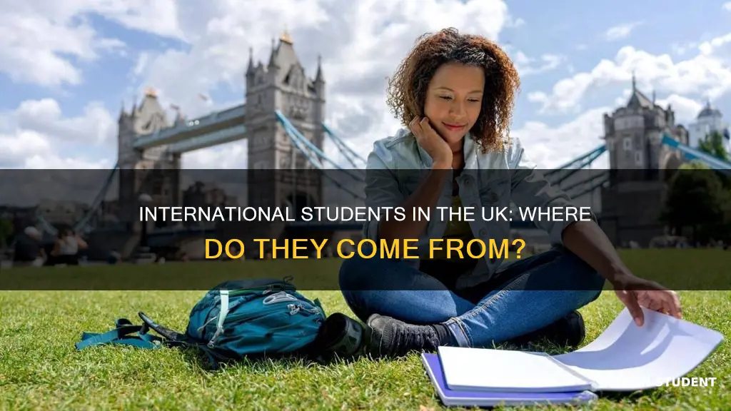 where uk international students come from