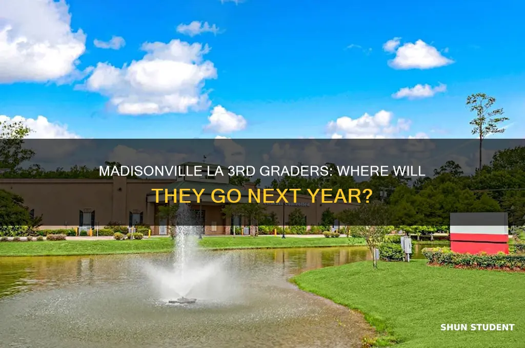 where will 3rd grade madisonville la students be next year