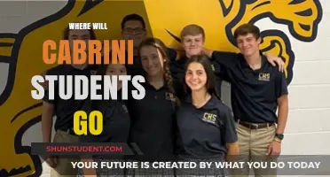 Cabrini's Closure: Exploring Future Paths for Displaced Students