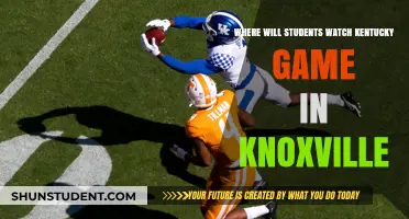 Knoxville's Top Spots for Students to Watch the Kentucky Game