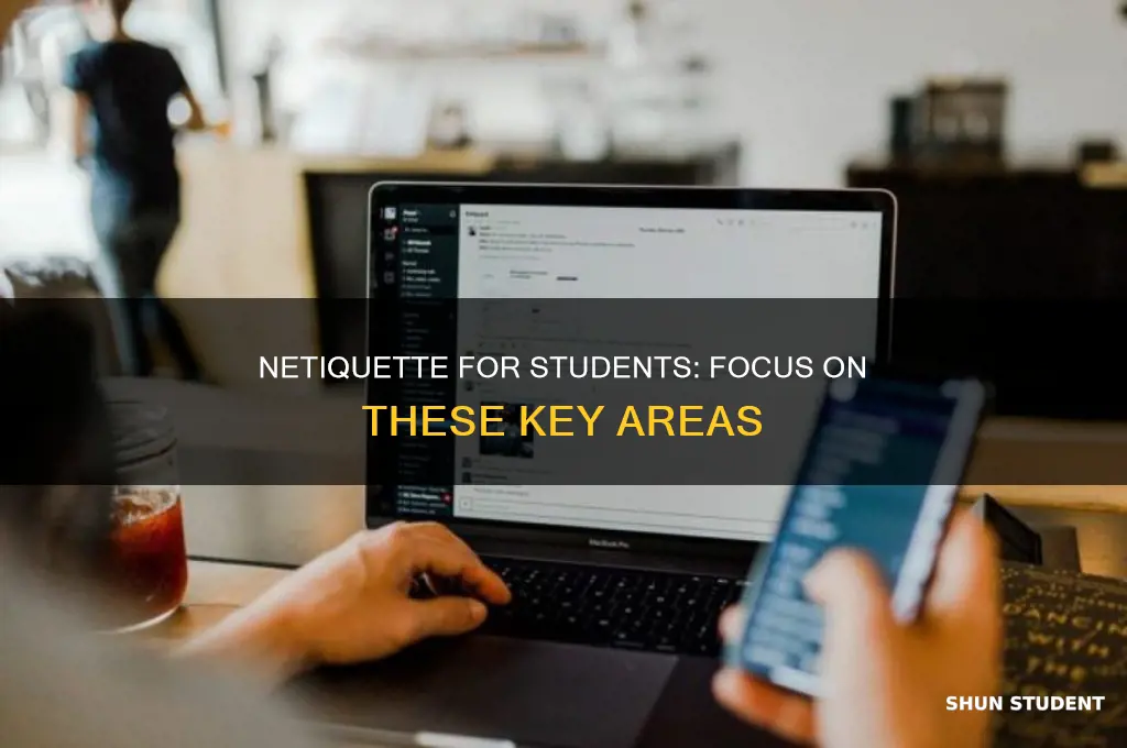 which areas should students who practice netiquette pay attention to