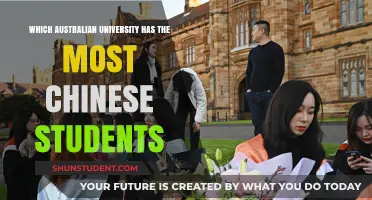 Unveiling Australia's Top Chinese Student Magnet: A University Analysis