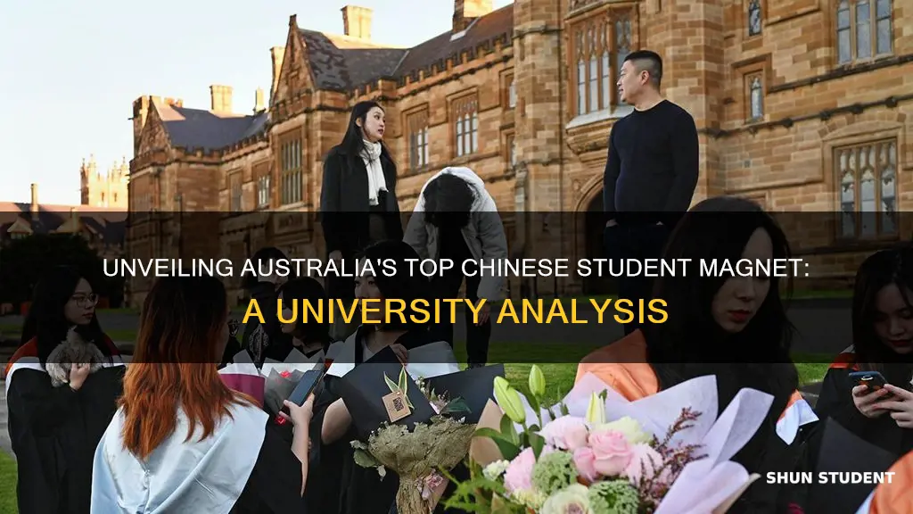 which australian university has the most chinese students