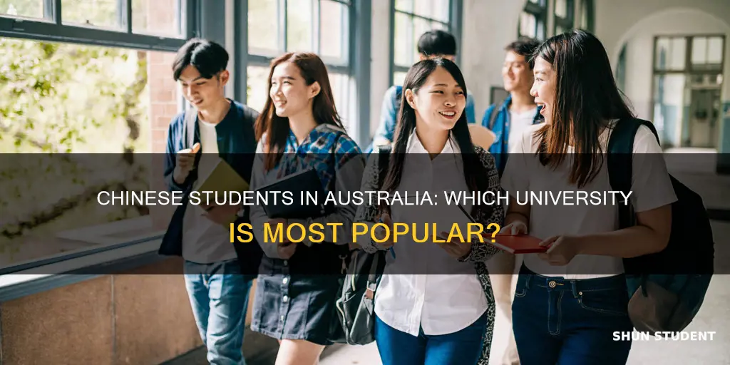 which australian university has the most chinese students