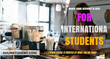 Best Bank Accounts Tailored for International Students