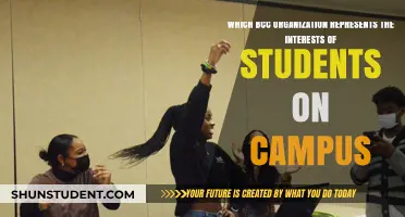 BCC Student Representation: Which Organization Advocates for Campus Interests?