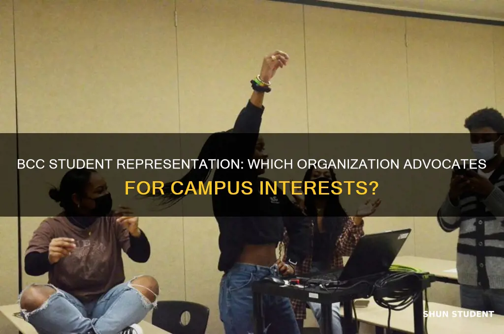 which bcc organization represents the interests of students on campus