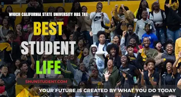 Unveiling the Best Student Experience: A California State University Comparison