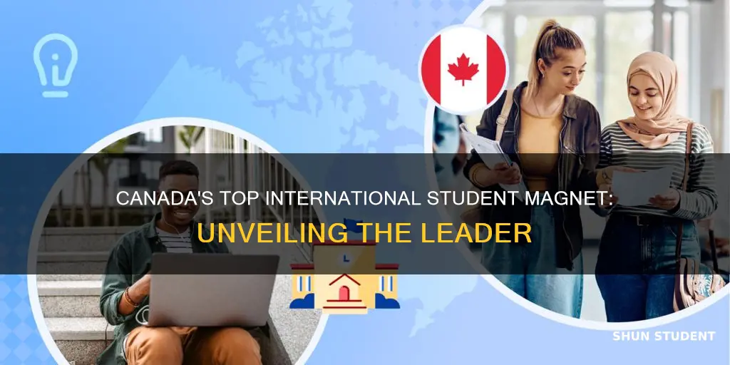 which canadian university has the most international students