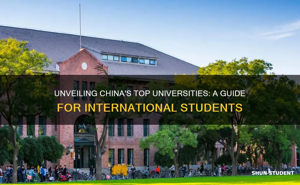 which chinese university is best for international students