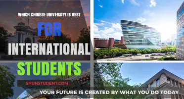 Top Chinese Universities Attracting International Students