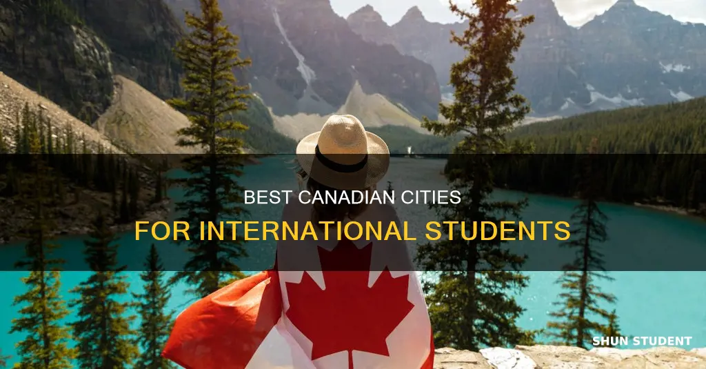 which city is best for international students in canada