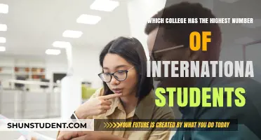 International Students' Preferred College Destination
