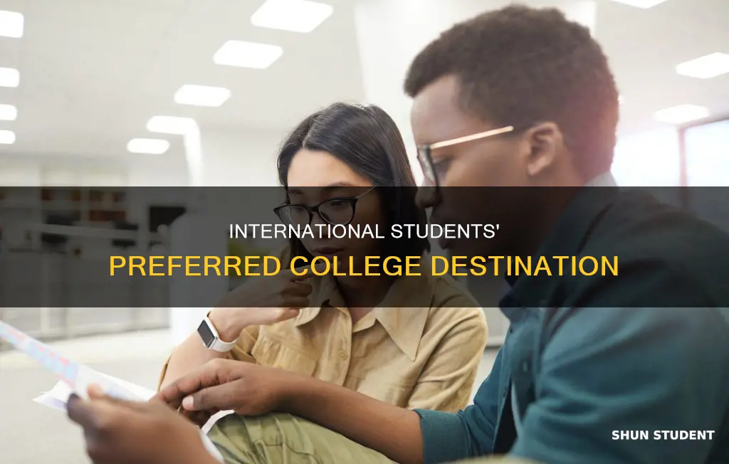 which college has the highest number of international students
