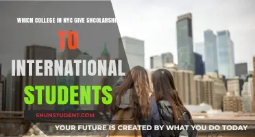 Scholarships for International Students: Which NYC Colleges Offer Them?