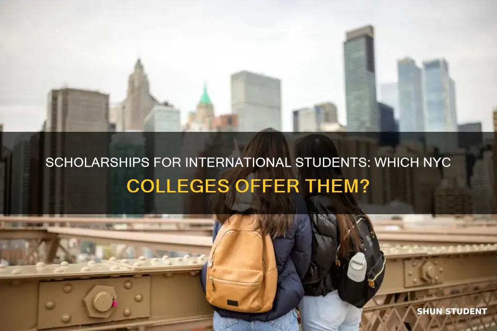 which college in nyc give shcolarship to international students