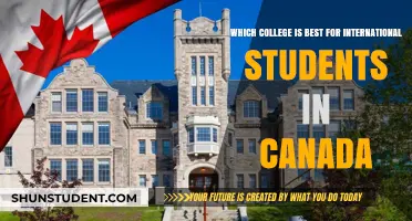Best Canadian Colleges for International Students