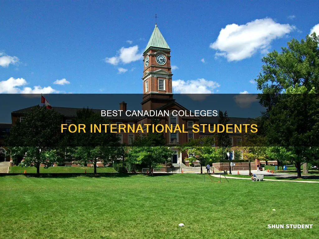 which college is best for international students in canada