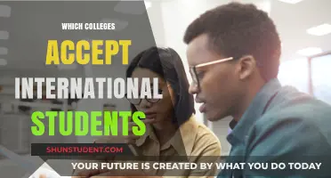 Best Colleges for International Students: Where to Apply
