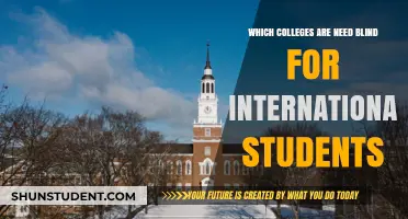 Best Need-Blind Colleges for International Students