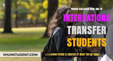 International Transfers: Colleges Offering Aid