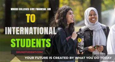 Best Colleges for International Students Seeking Financial Aid