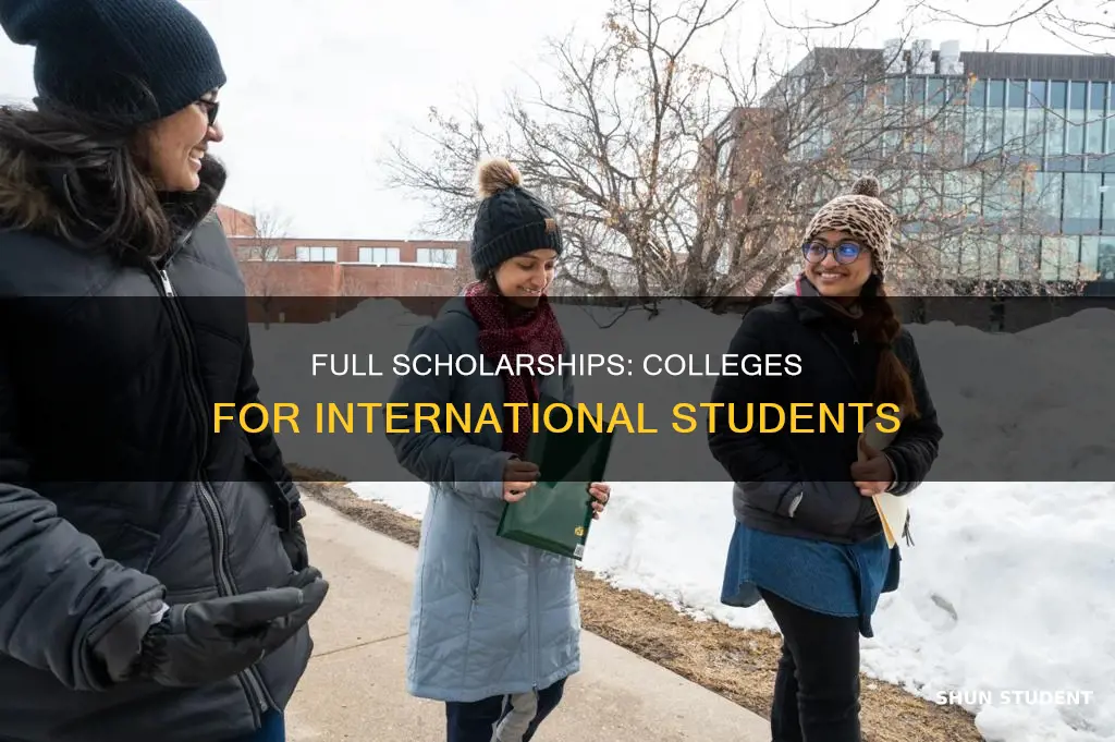 which colleges offer full scholarships to international students