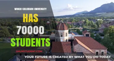 The Enormous Enrollments: Colorado's Largest University by the Numbers