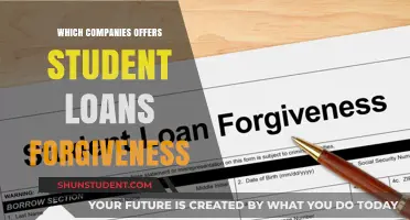 Top Companies Offering Student Loan Forgiveness Programs for Graduates