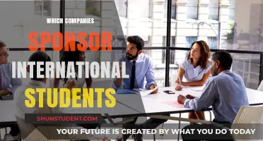 Sponsorship Opportunities for International Students: Company Guide