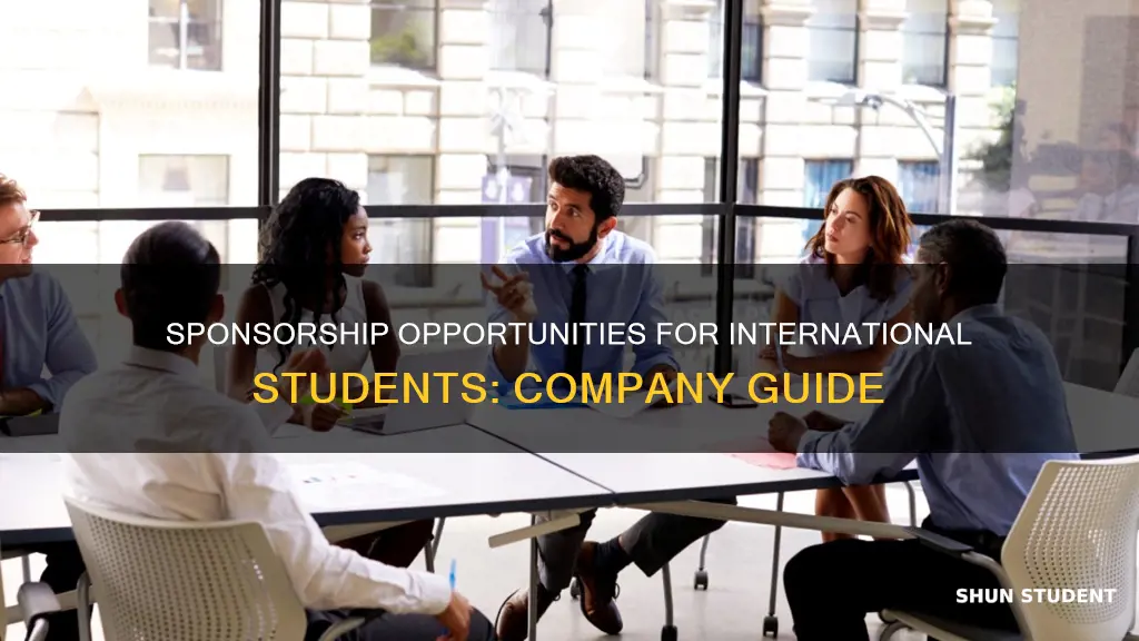 which companies sponsor international students