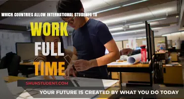 Work Abroad: Where International Students Can Work Full-Time
