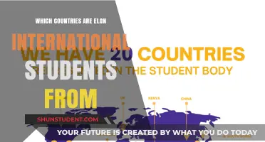 International Students: Where Does Elon Attract From?