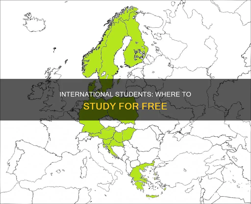 which countries are free for international students