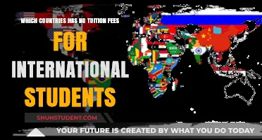 Free Tuition for International Students: Which Countries Offer This?