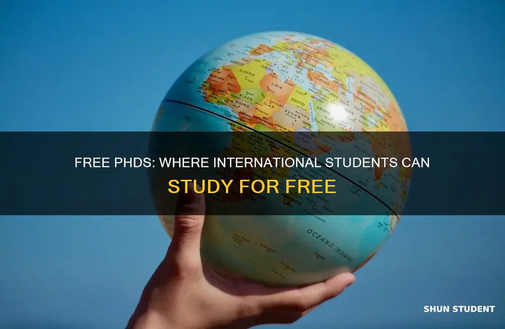which countries offer free phd for international students