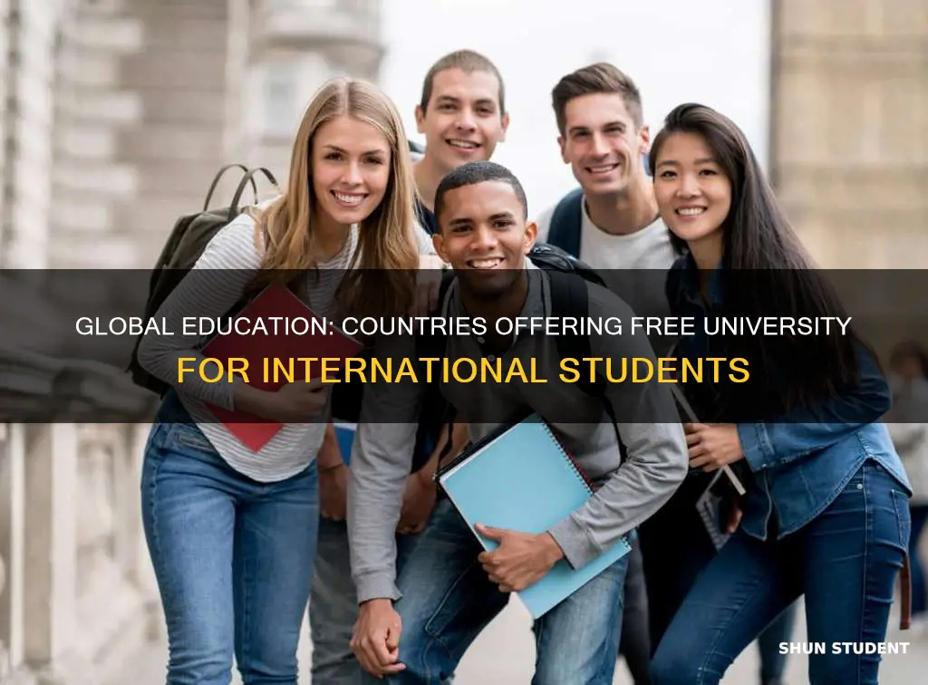 which countries offer free university education for international students