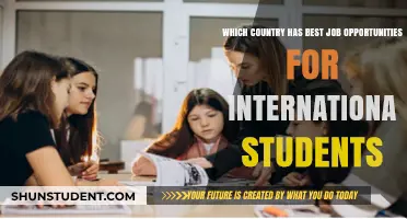 Best Countries for International Students Seeking Job Opportunities