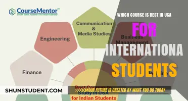 International Students: Best US Courses to Consider