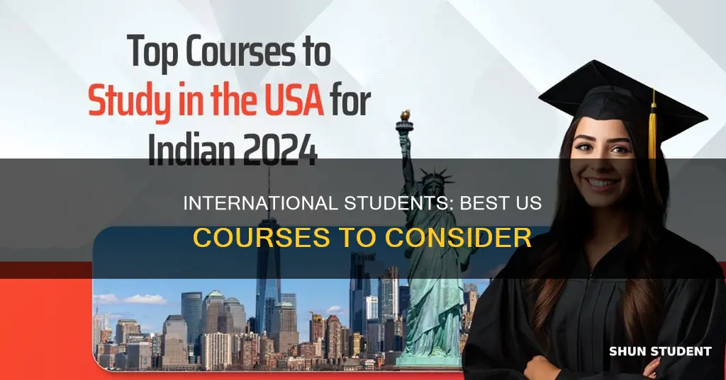 which course is best in usa for international students
