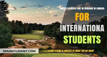 Courses in High Demand for International Students in Canada