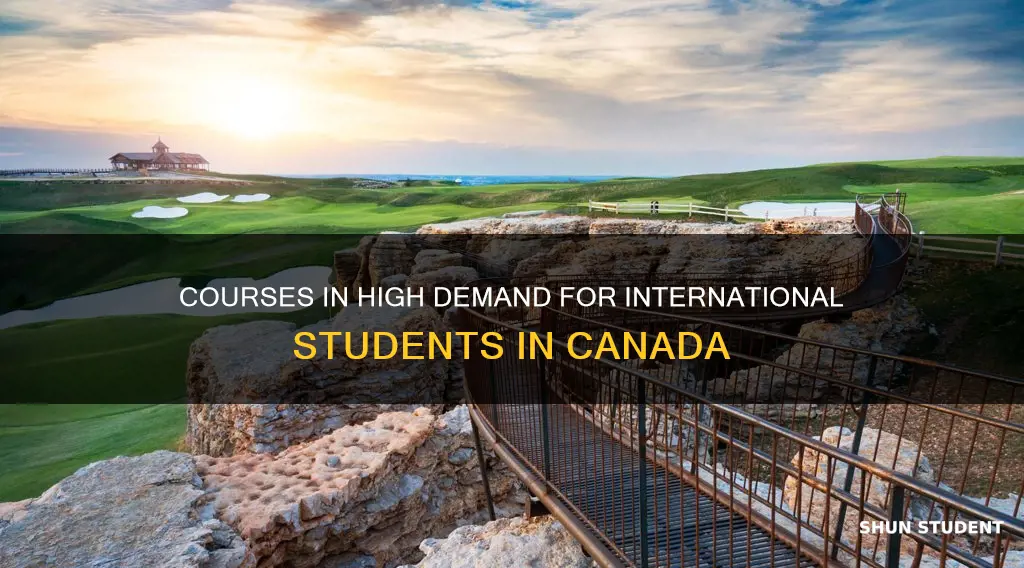 which courses are in demand in canada for international students
