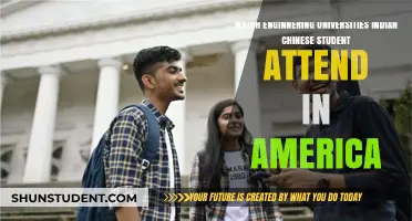 Engineering Excellence: Indian and Chinese Students' Top Choices in American Universities