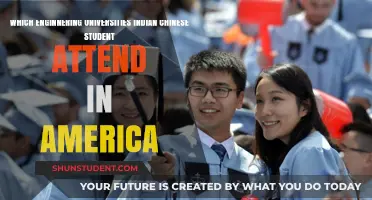 Engineering Dreams: Indian and Chinese Students in America